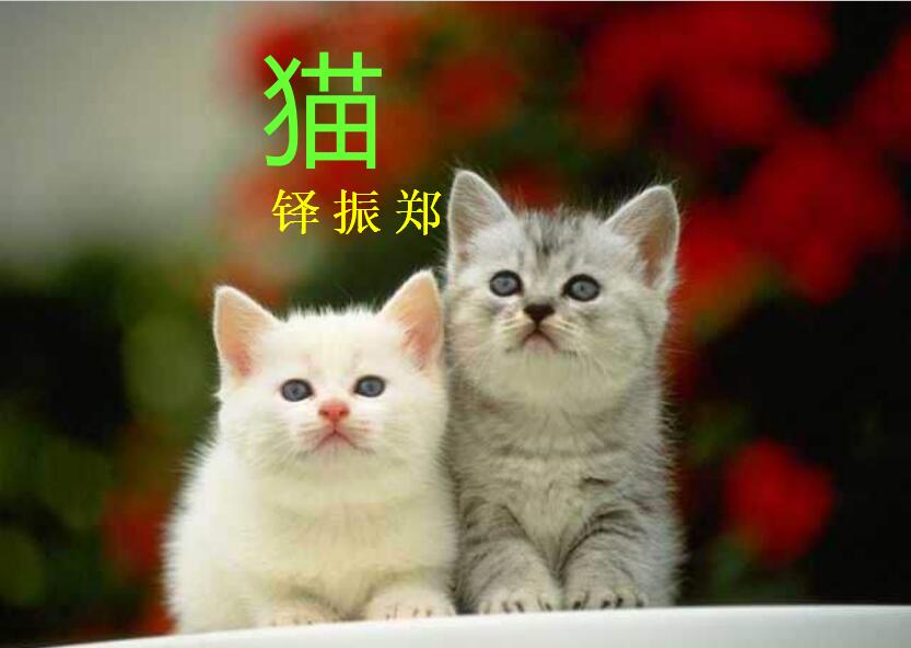 桿2019꼶ϲģ17.èPPTμ