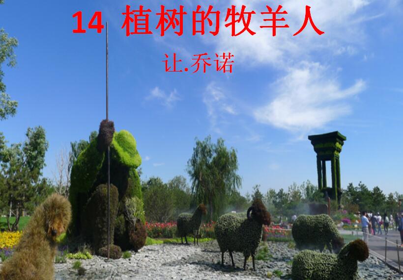 桿2019꼶ϲģ14.ֲPPTμ